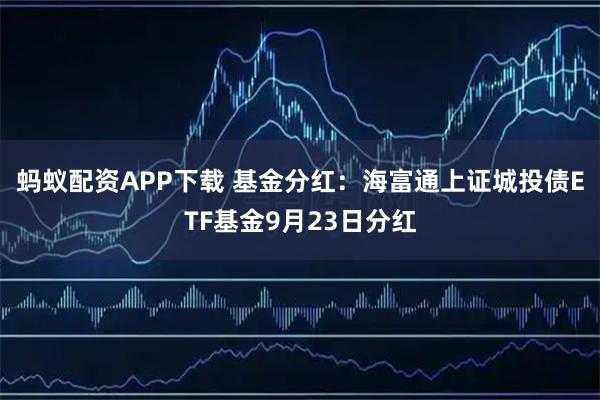 蚂蚁配资APP下载 基金分红:海富通上证城投债ETF基金9月23日分红
