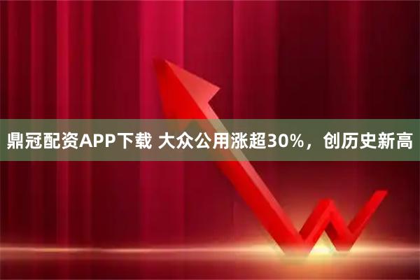 鼎冠配资APP下载 大众公用涨超30%，创历史新高