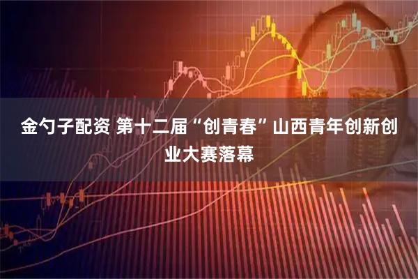 金勺子配资 第十二届“创青春”山西青年创新创业大赛落幕