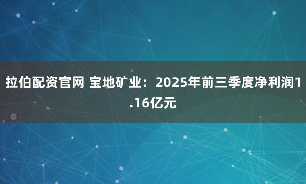 拉伯配资官网 宝地矿业：2025年前三季度净利润1.16亿元