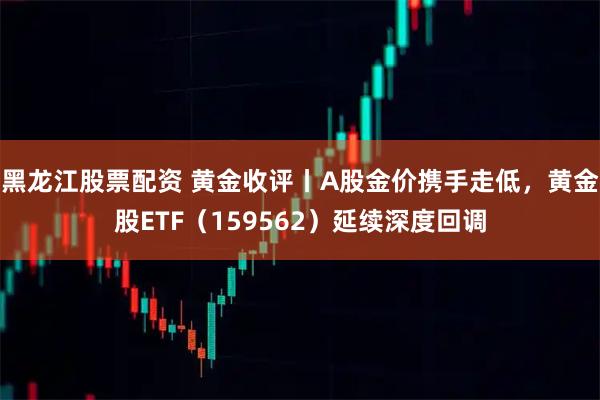 黑龙江股票配资 黄金收评丨A股金价携手走低，黄金股ETF（159562）延续深度回调