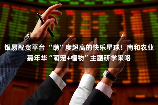 银易配资平台 “萌”度超高的快乐星球！南和农业嘉年华“萌宠+植物”主题研学来咯