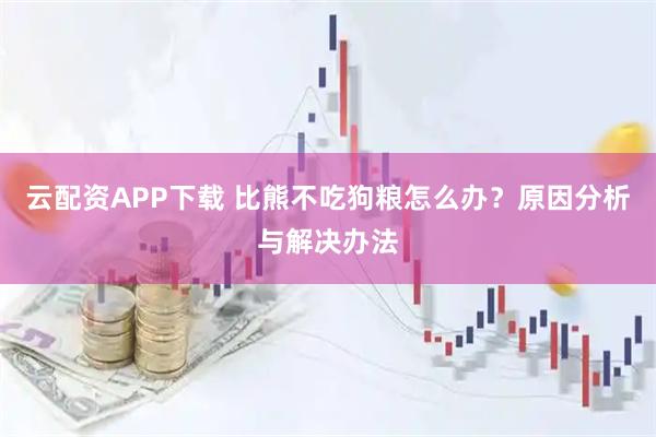 云配资APP下载 比熊不吃狗粮怎么办？原因分析与解决办法