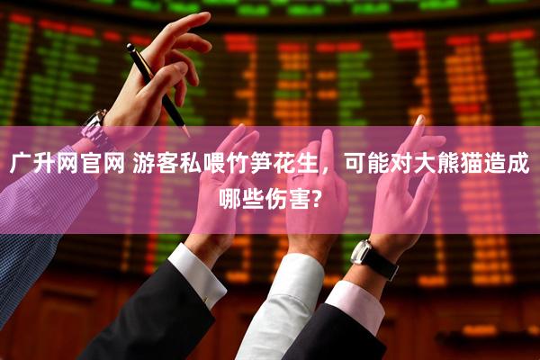广升网官网 游客私喂竹笋花生，可能对大熊猫造成哪些伤害?